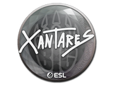 Artwork for Sticker | XANTARES | Katowice 2019
