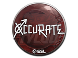 Sticker | xccurate | Katowice 2019
