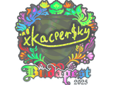 Artwork for Sticker | xKacpersky (Holo) | Budapest 2025