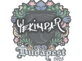 Artwork for Sticker | YEKINDAR | Budapest 2025