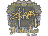 Artwork for Sticker | z4KR | Budapest 2025