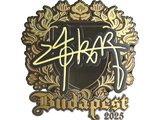 Artwork for Sticker | z4KR (Gold) | Budapest 2025