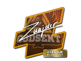 Artwork for Sticker | znajder | Atlanta 2017