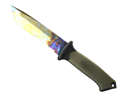 Ursus Knife | Case Hardened