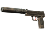 Artwork for [FN] USP-S | Desert Tactical