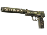 Artwork for [FN] USP-S | Flashback