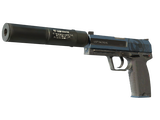 Artwork for [MW] USP-S | Guardian