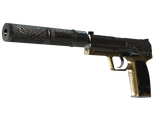 Artwork for [FN] USP-S | Lead Conduit