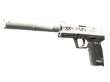 Artwork for [MW] USP-S | Printstream