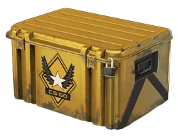 Winter Offensive Weapon Case