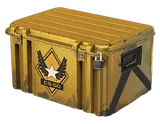 Winter Offensive Weapon Case
